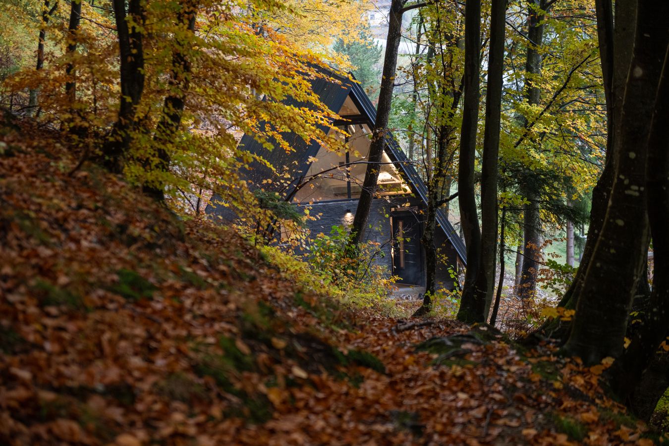 Continental Cabin and the autumn forest around it