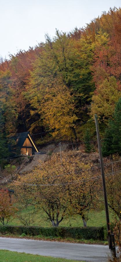 Continental Cabin and the autumn forest around it